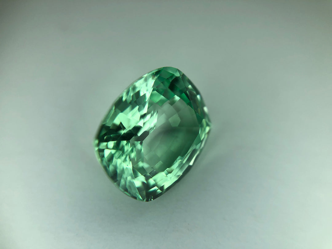 RARE 4.04 ct Merelani Mint Green Grossular Garnet Cushion Shape