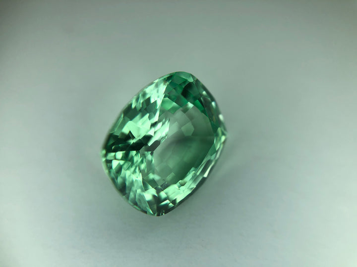 RARE 4.04 ct Merelani Mint Green Grossular Garnet Cushion Shape