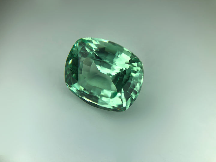 RARE 4.04 ct Merelani Mint Green Grossular Garnet Cushion Shape